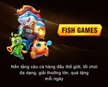 Không thể cài đặt